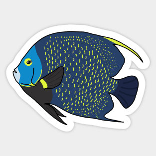 French Angelfish Sticker